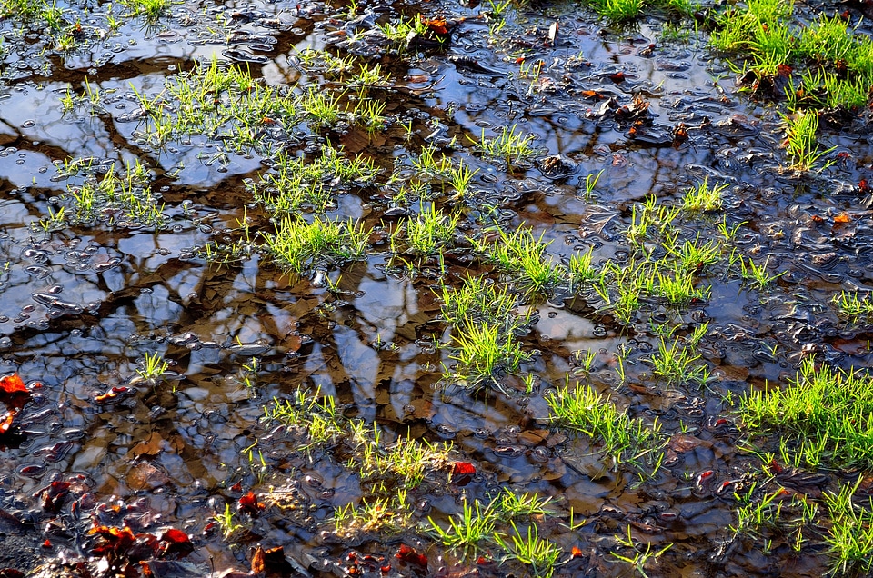 Water rain background