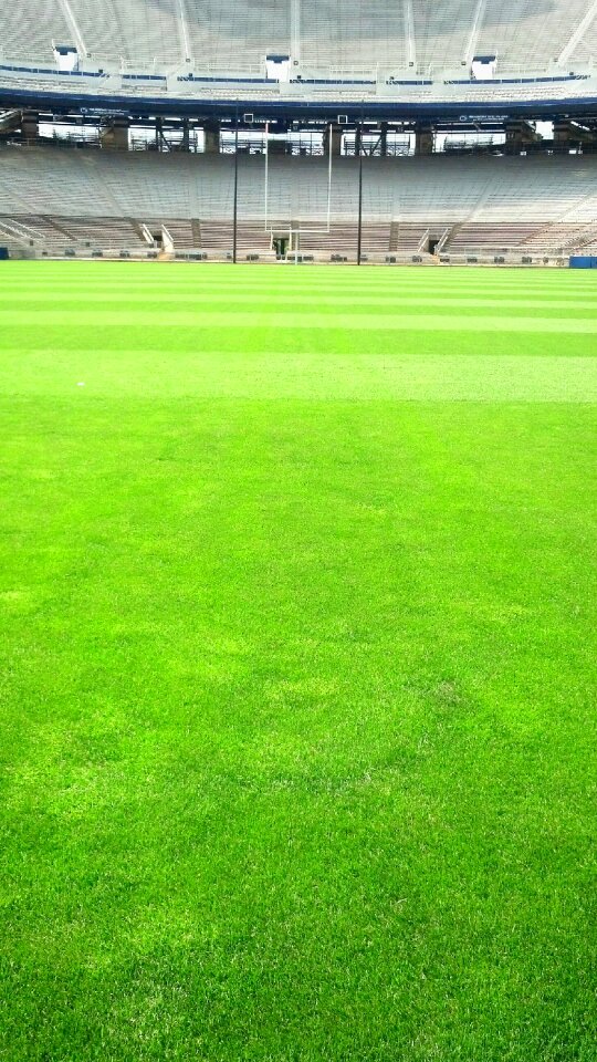 Turf grass football