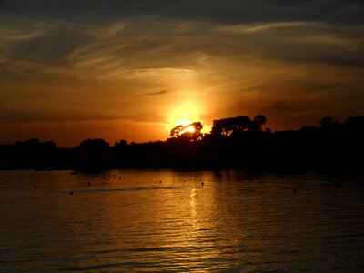 Evening sky trees silhouettes photo