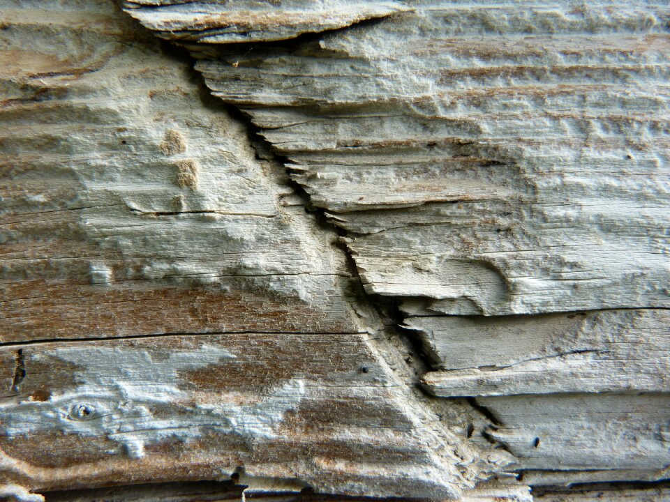 Detail old old board