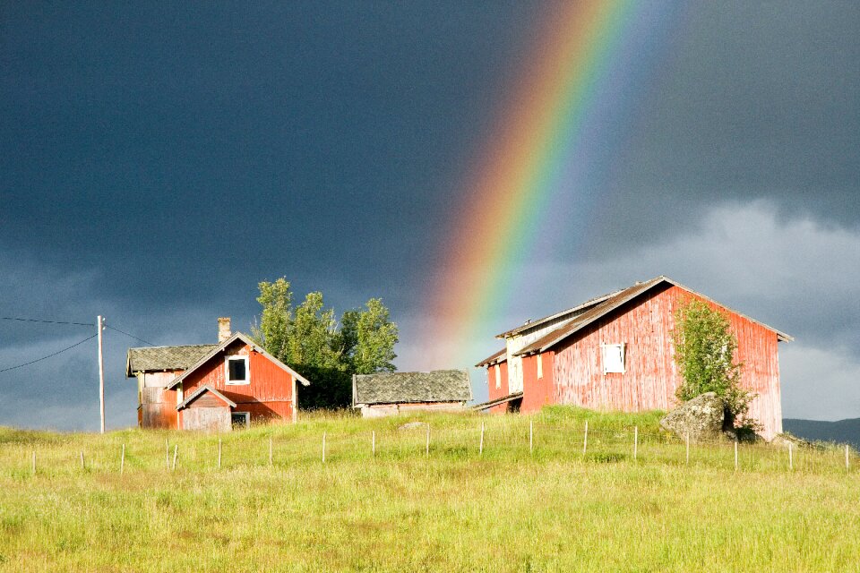 Rainbow farm summer
