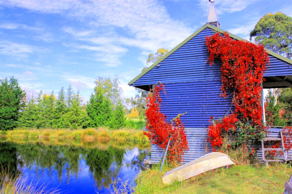 Autumn lake nelson