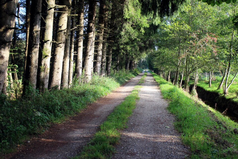 Commercial way nature lane