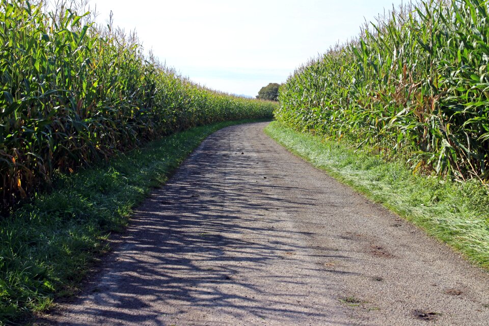 Road lane dirt track