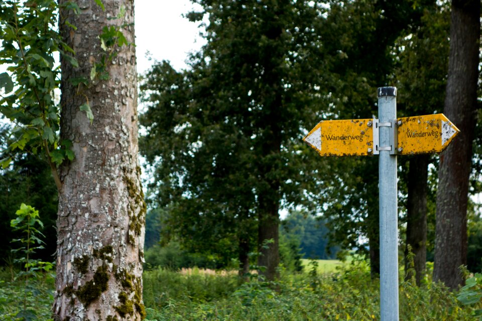 Signposts direction nature