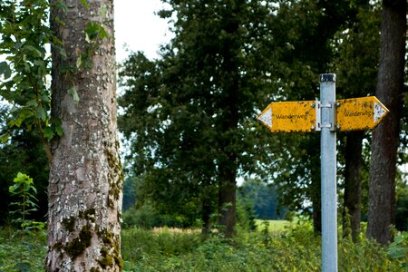 Signposts direction nature photo