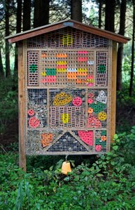 Insect bee hotel wasps photo