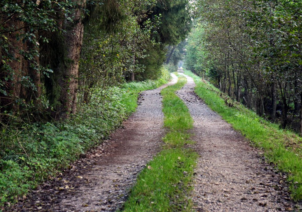 Commercial way nature lane