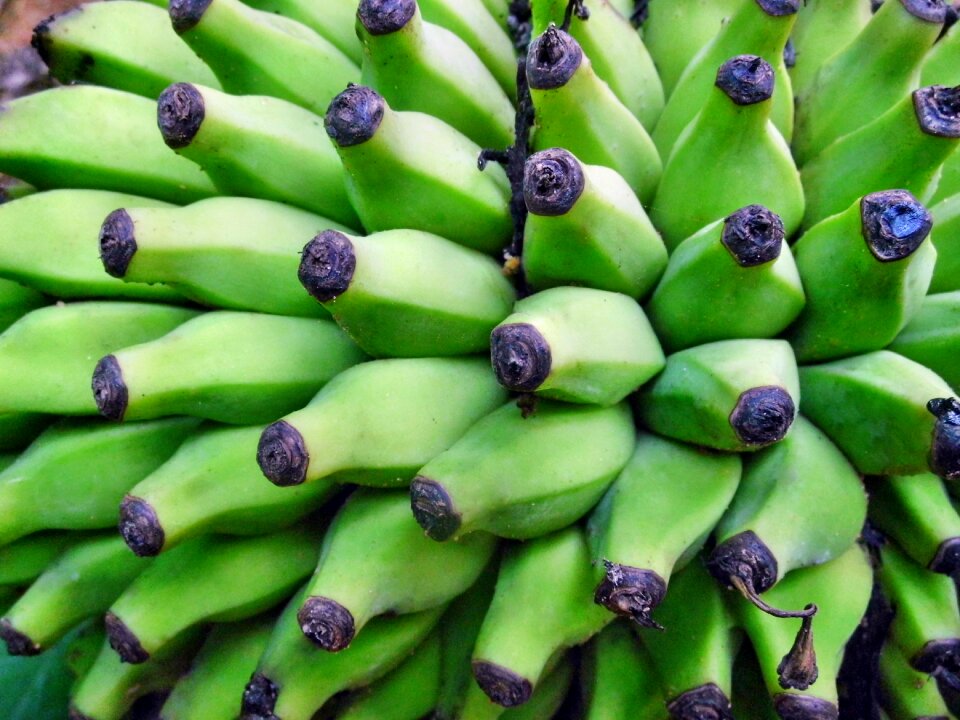 Fresh healthy diet