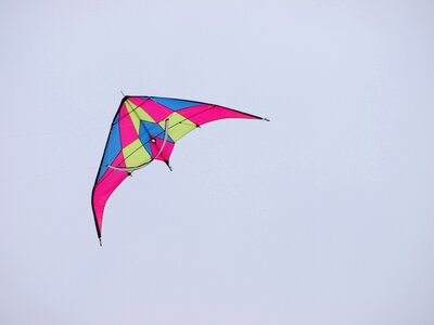 Wind pink autumn