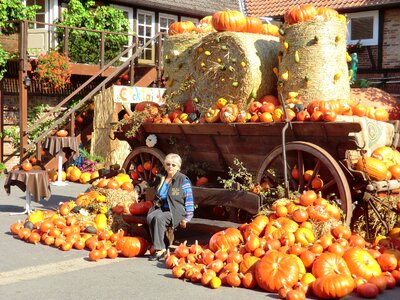 Pumpkin october orange