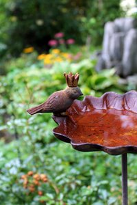 Iron metal rust