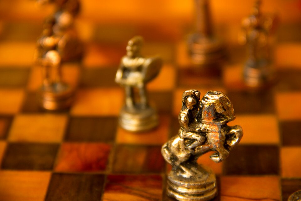 Figurines checkerboard knight
