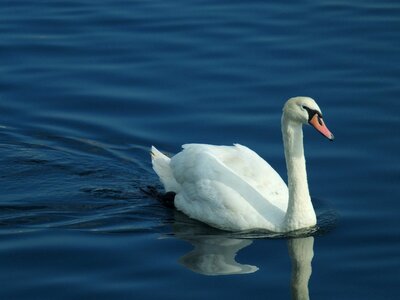 Water lake blue
