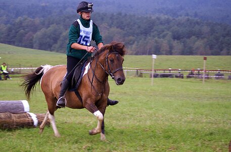 Jumping sport competition