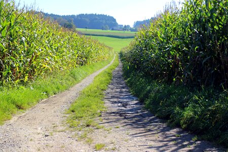 Away dirt track agriculture
