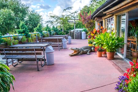 Dining outdoors sweden