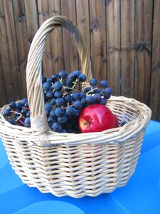 Grapes autumn table