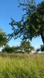 Blue landscape nature photo