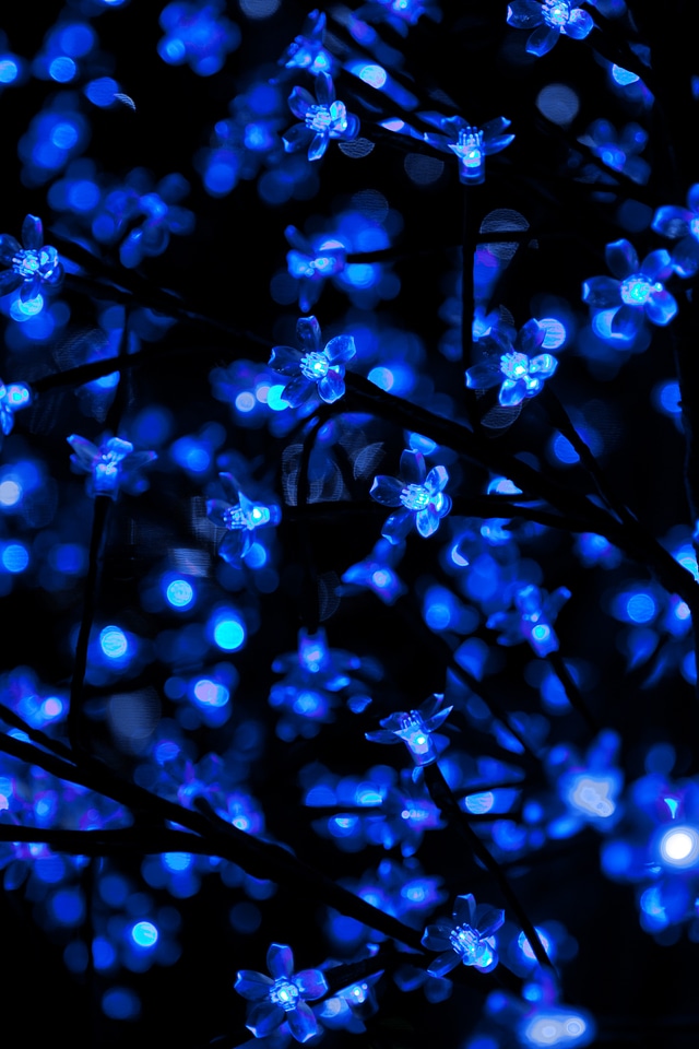 Bright celebration christmas