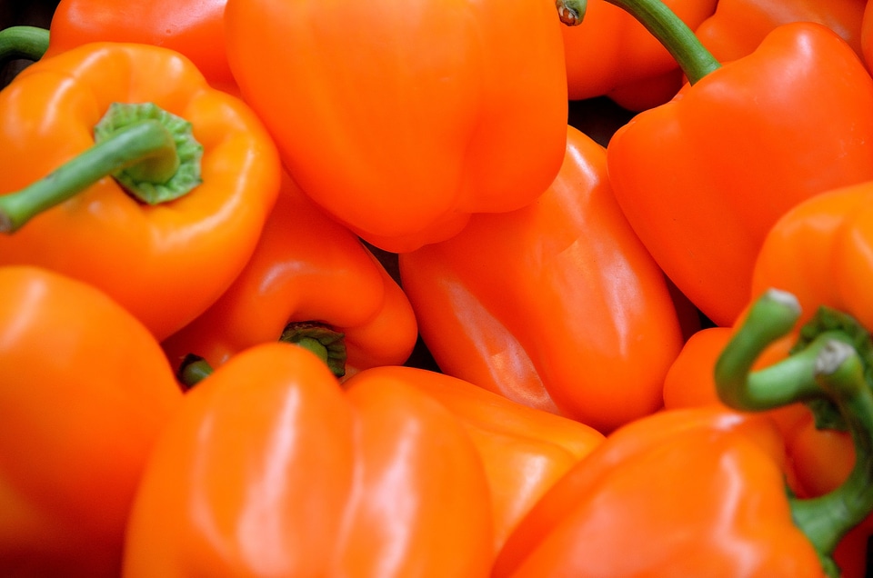 Vegetables vitamins attachment