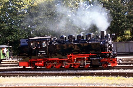 Rasender roland resin railway