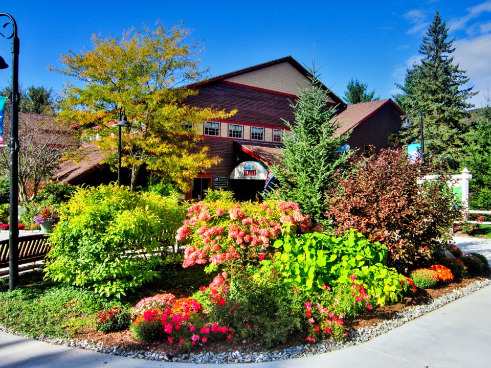Fall nature landscape