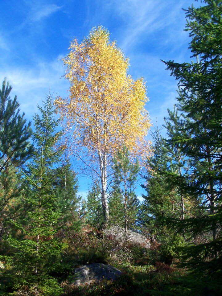 Sweden autumn autumn mood