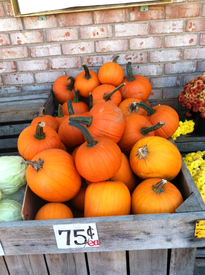 Orange halloween food