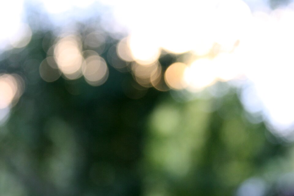 Blur trees sky