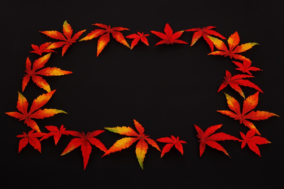 Color decoration fall