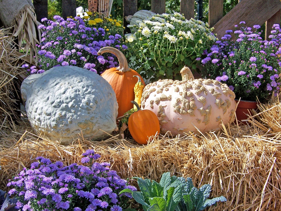 Flowers halloween still