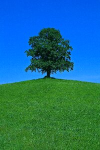 Nature scenic lonely