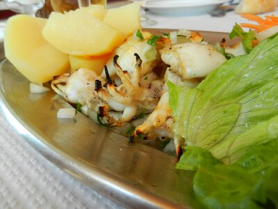 Squid lettuce food photo
