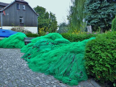 Fishing networks dry nets photo