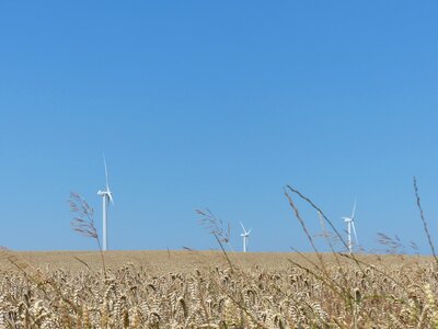Wind energy summer field