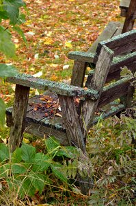 Autumn old debris
