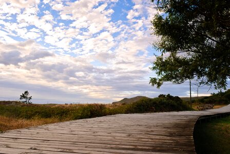 Walk path landscape