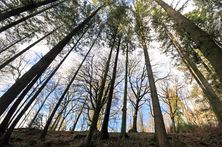 Grizedale nature landscape