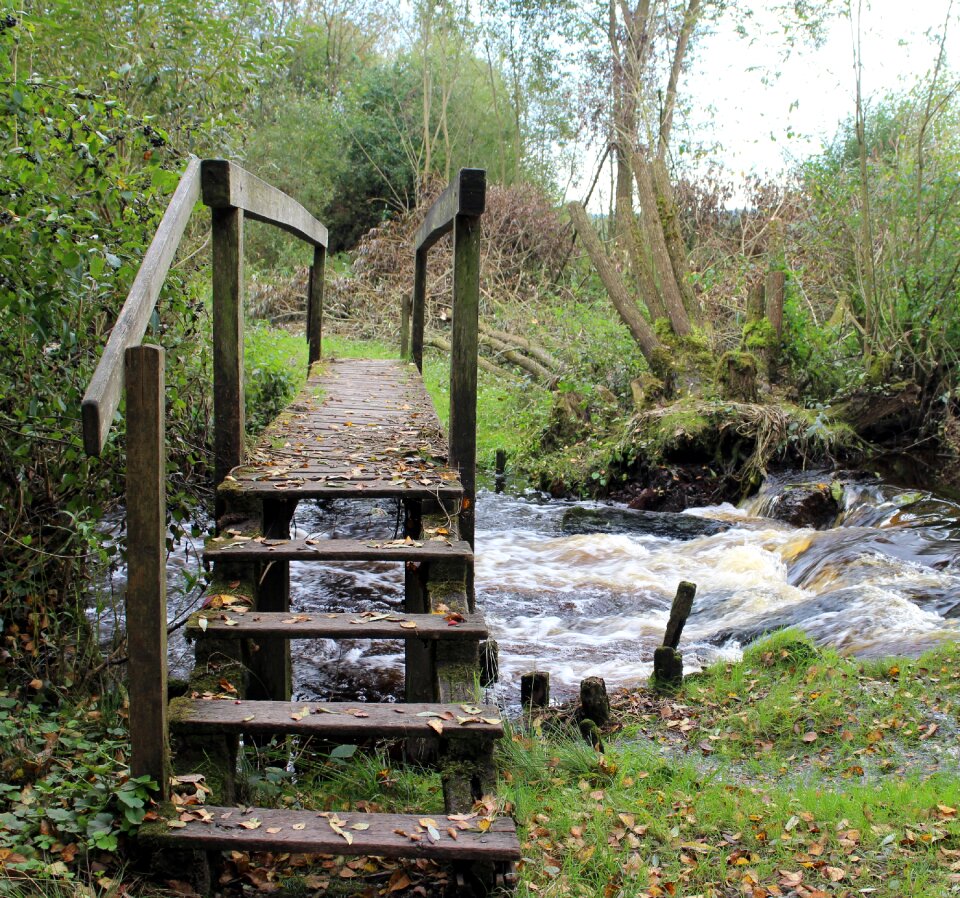 Boardwalk wooden bridge waters