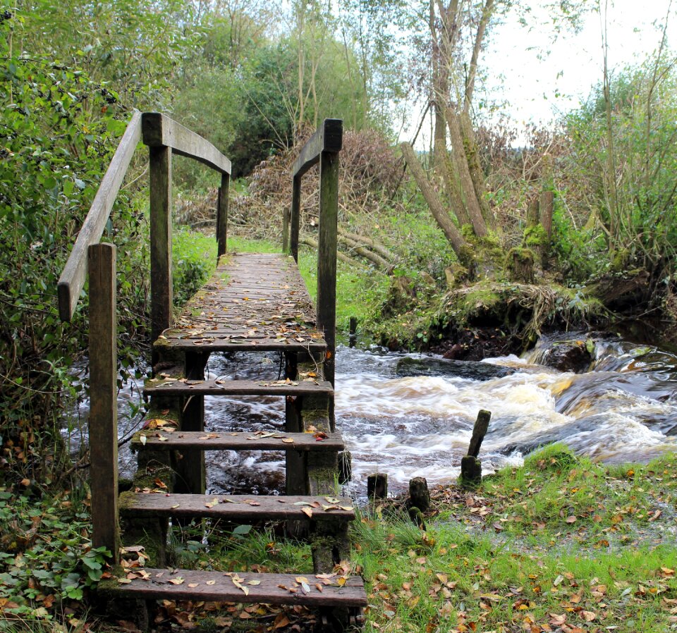 Boardwalk wooden bridge waters photo