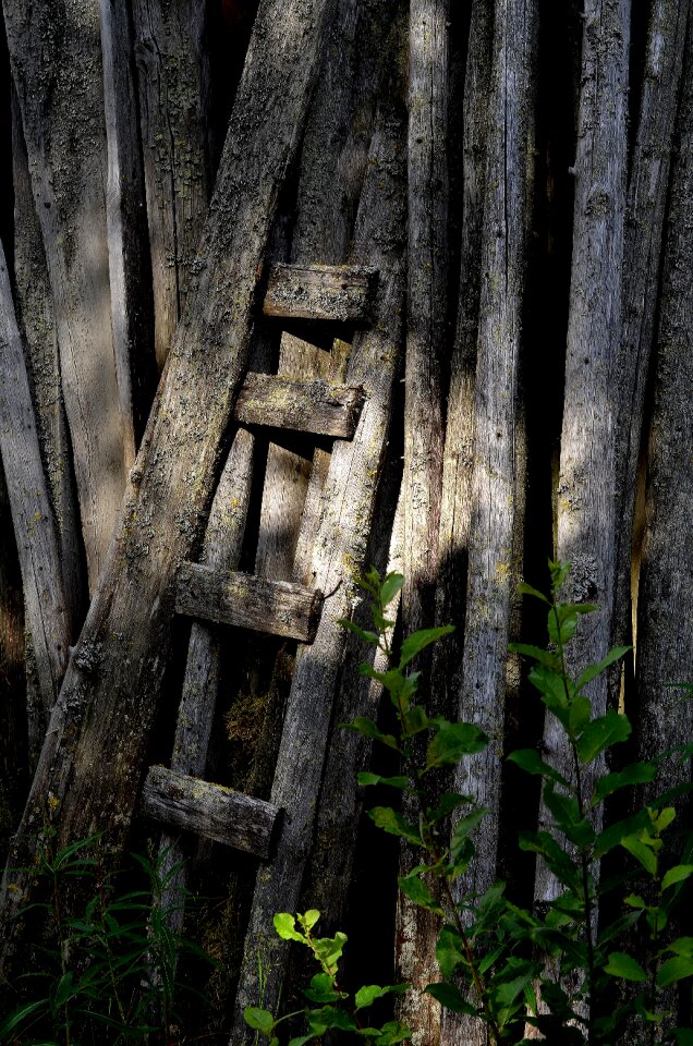 Old wooden wall grey barn