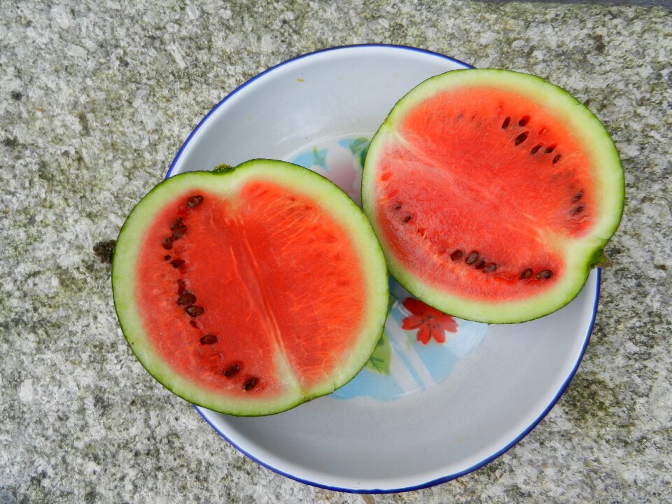 Watermelon dessert food