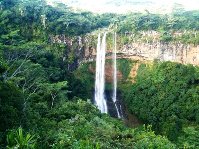 Mauritius waterfall jungle photo