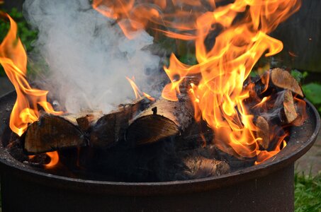 Firewood burns fever