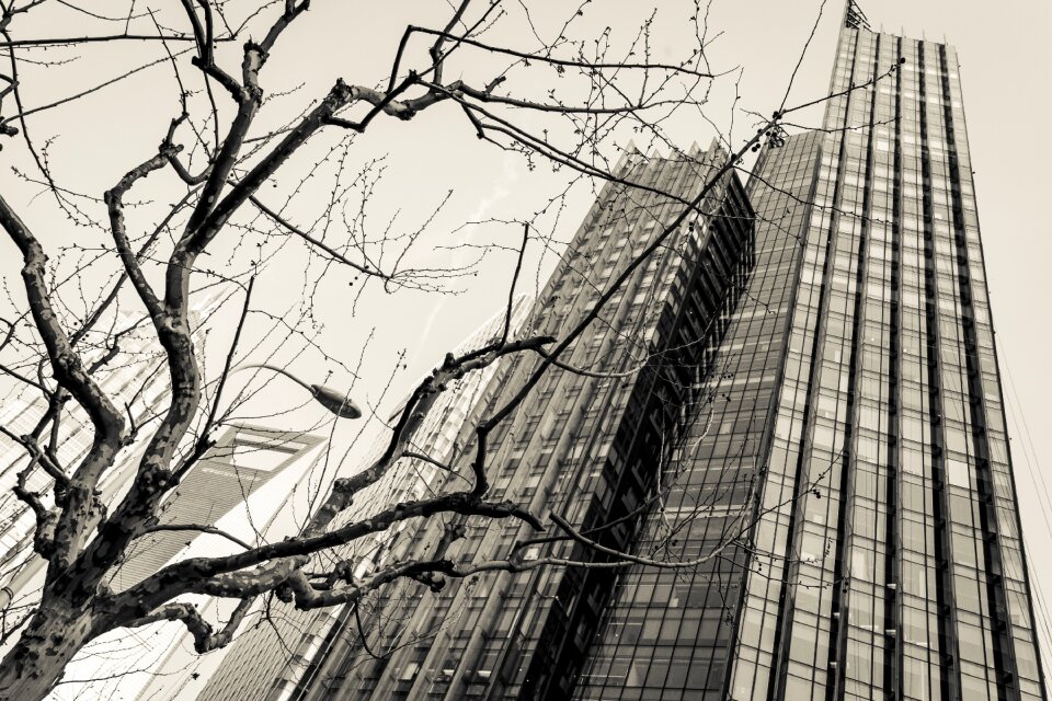 Skyscrapers architecture business