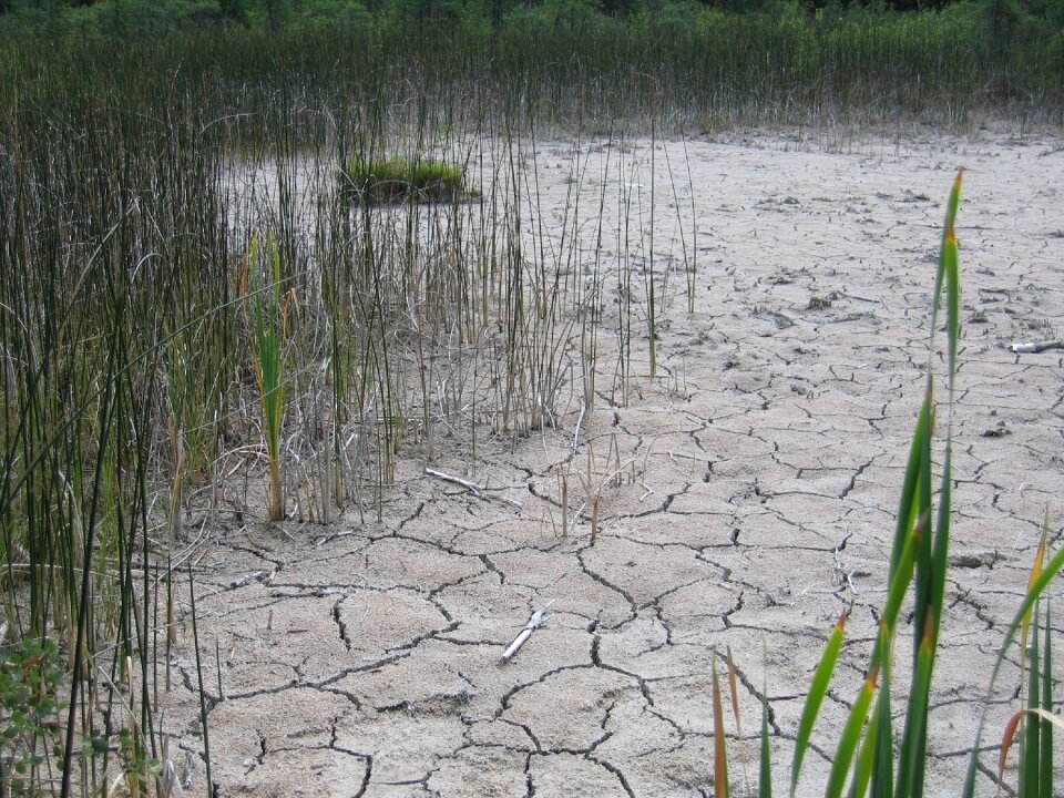 Marlstone cracked wetland
