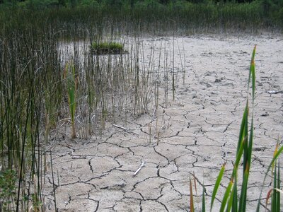 Marlstone cracked wetland