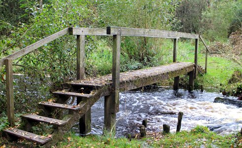Boardwalk wooden bridge waters