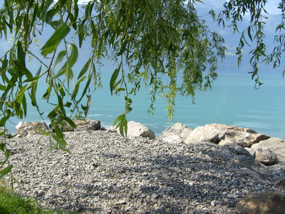 Water idyll landscape
